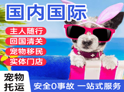 郴州北湖机场物流国际宠物托运 【国